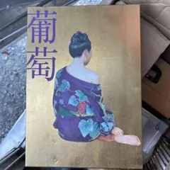 サザンオールスターズ 葡萄　完全生産限定盤B CD+DVD +BOOK 903