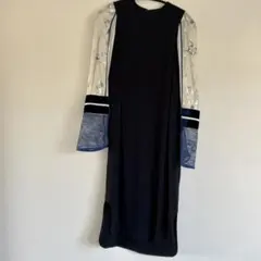 mame Silk Lame Sleeve Dress