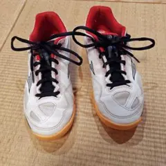 Item thumbnail for item 982b08c4-7dbf-4247-be9c-5bba6f695fb6