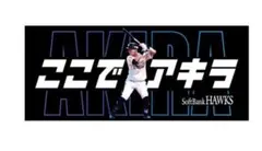JRA ノベルティ ソフトバンク ホークス コクラッチャ タオル カード
