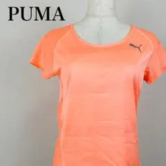 極美品 プーマ PUMA 半袖Tシャツ トレーニング オレンジ 1011B