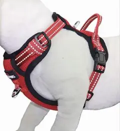 ハーネス リードセット 犬用胴輪 脱着簡単 XS ラ0309C
