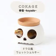 COKAGE【ウェット骨宿M】 爬虫類シェルター レオパニシアフ素焼き皿のサムネイル