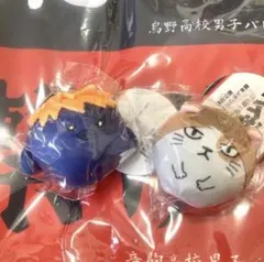 ハイキュー ゴミ捨て場の決戦 起き上がりマスコット 日向翔陽 孤爪研磨