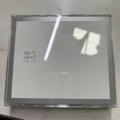 25 Finally Namie Amuro 1992-2017 安室奈美恵