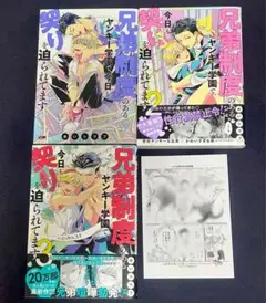 兄弟制度のあるヤンキー学園で、今日も契りを迫られてます 1〜3巻セット