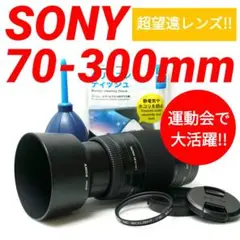✨SONY α65✨トリプルレンズ✨フル装備✨入門モデル✨超高画質✨超望遠✨美品 α65 | デジタル一眼カメラα（アルファ） | ソニー