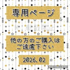 レモンの木様 リクエスト 2点 まとめ商品