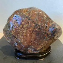 【激レア】10kg 赤石 佐渡産 庭石 激レア】10kg 赤石 佐渡産 庭石 - メルカリ