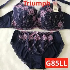 新品未使用 トリンプ Ｇ８５ 可愛いブラ＆ショーツ ＬＬセット 大きいサイズ
