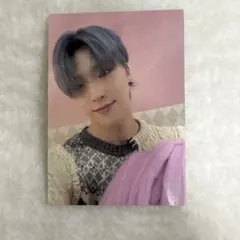 SEVENTEEN あいのちから　ディノ