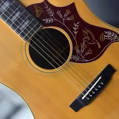 神田商会プロデュース！CANDA-202 ハミングバードモデル！超激鳴・超美品のサムネイル