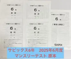2026年最新】sapix テキストの人気アイテム - メルカリ
