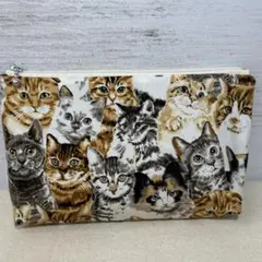 Item thumbnail for item d6fd073e-84f6-44a8-a50b-c0837e6beec0