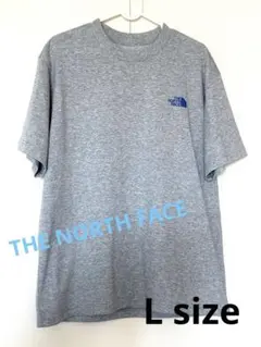 THE NORTH FACE メンズ Tシャツ グレー