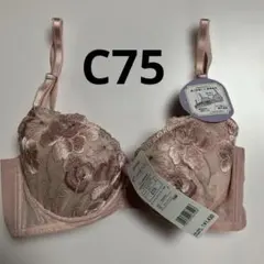 Item thumbnail for item c2fee55f-74c6-466c-baa0-d7c07a8063d6