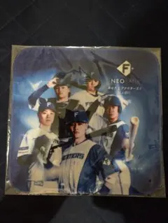 Item thumbnail for item 8b5e4ebf-086b-487f-838f-9ec469e235a2