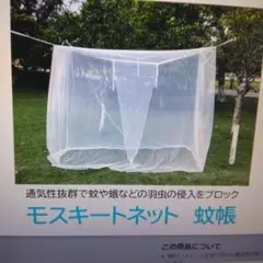 Item thumbnail for item d1764d97-834f-4104-83ca-3747b69776f7