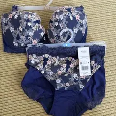 Wing Lesiage ブラジャー ショーツ セット F70のサムネイル