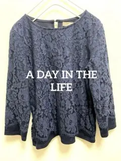 A DAY IN THE LIFE ユナイテッドアローズ　ネイビーレーストップス