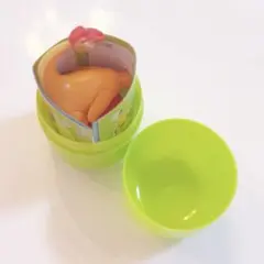 ポケモン チョコエッグ 旅立ちの3匹 ヒトカゲ リーフレット付き