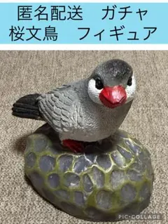 桜文鳥 ミニオブジェ　置物　文鳥　匿名配送　オブジェ　小鳥　インコ　フィギュア