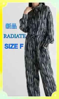 新品！RADIATE（ラディエイト） ペイントタッチオールインワン （ブラック）