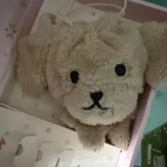 CocArde プードル ポーチ　(箱は、ありません)