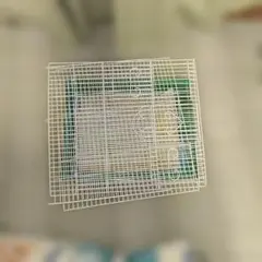 鳥かご
