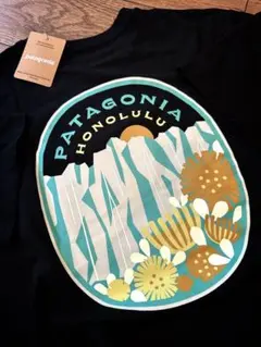 ハワイ限定 【patagonia】 パタゴニア Tシャツ M メンズ 黒
