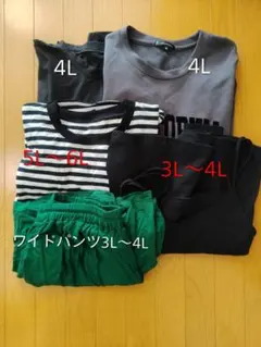 まとめ売り 4L～5Lサイズ