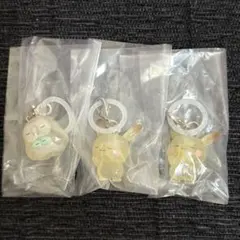 ポケピース めじるしガチャマスコット 2点セット