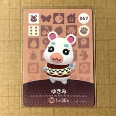 ゆきみ amiibo どうぶつの森
