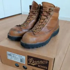 ダナーライト　Danner LT 20周年ANNIVERSARYワークブーツ 2026年最新】ダナー 20周年の人気アイテム - メルカリ