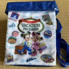 ディズニーバケーションパッケージ　ポップコーンバケット