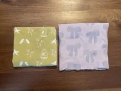 Item thumbnail for item 6655b717-cd94-404b-a5e4-d2a4a03f3ef9