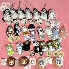 Item thumbnail for item 0710c34d-9b2a-4fcb-8027-6e1ac1452799