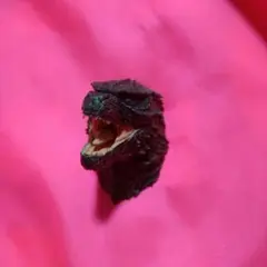 モンスターヘッドマグネット キャラクターグッズ