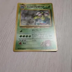 エリカのフシギバナ 美品のサムネイル