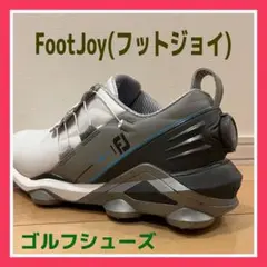フットジョイ 26.5