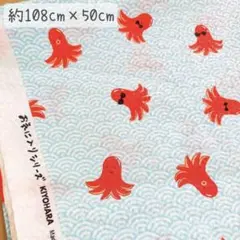 Item thumbnail for item 3648e2ec-79b3-4e1f-b6bd-afcf772cc40b