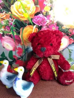 Teddy Bear 赤いぬいぐるみ アヒルの調味料入れペアー ２体セット。のサムネイル