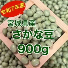 新潟県産 空豆 約900g 新鮮 朝採り - メルカリ