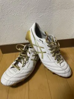 asics 安全靴 WINJOB CP403 TS 編み上げ ホワイト/ゴールド - メルカリ