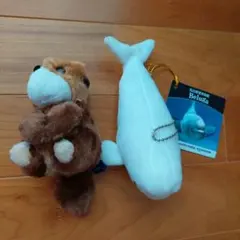 2025年最新】ベルーガ 水族館の人気アイテム - メルカリ