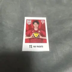 キャラポトレ バレーボール男子日本代表　甲斐優斗