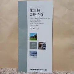 株主優待券 東急不動産ホールディングス2025年12月