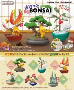 ポケモン ポケットモンスター ぽけっとBONSAI 大人買い コンプリート