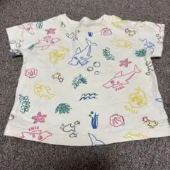 Baby Shark 総柄 半袖Tシャツ ホワイトのサムネイル