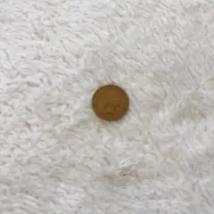 海外硬貨　フィジー　1セント　1986年